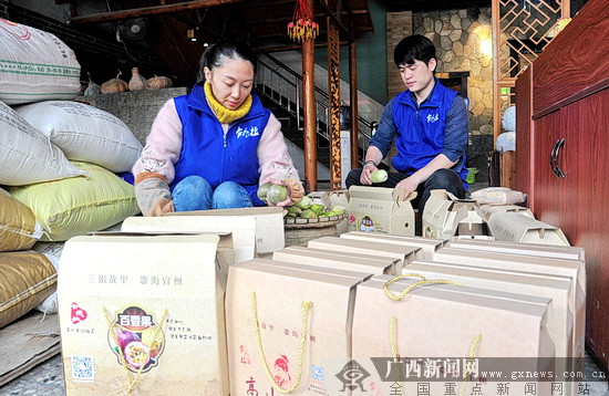 宜州“乍飞拉”成广西电商扶贫“网红”品牌