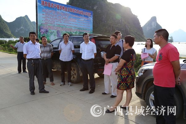 黄品优陪同区发改委林鸿副处长赴靖西调研