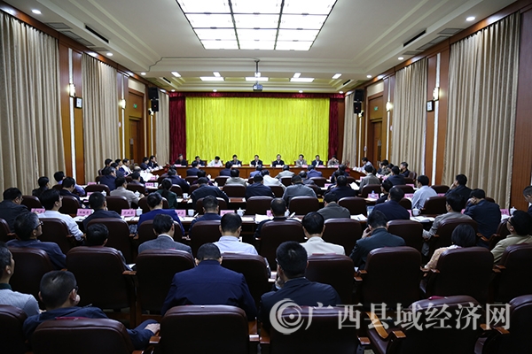 县促会派员参加左右江革命老区重大项目推进工作会议