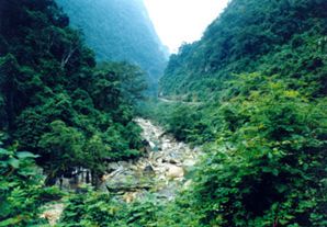 那坡县百都乡