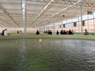 科技赋能渔乡蝶变 广西现代渔业书写高质量发展新篇