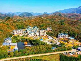 制度筑强基 数智提实效