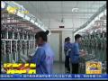 1-10月全区规模中小微工业企业总产值突破一万亿元