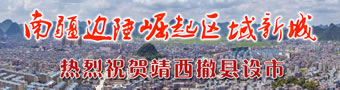 靖西撤县设市：南疆边陲崛起区域新城