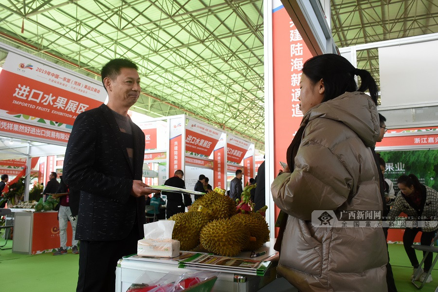 凭祥:共建陆海新通道 打好“自贸区跨境产业”牌