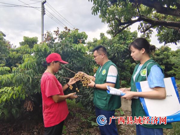 骆小敏:打造增收“致富果” 电商助力产业兴