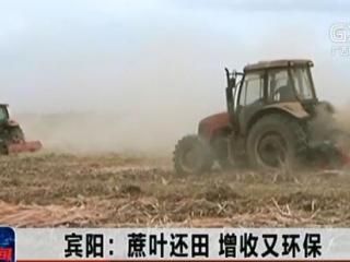 宾阳县：蔗叶还田 增收又环保