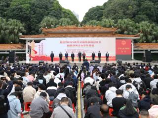 右江区精彩亮相2025年百色市“12·4”国家宪法日活动