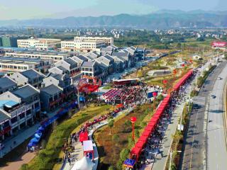 融安县:兴业富城庆丰收 桔染大地颂辉煌