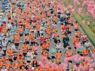3.6万跑者赴约!2025南马实现“水果自由”,ai赋能 老友温情暖动绿城