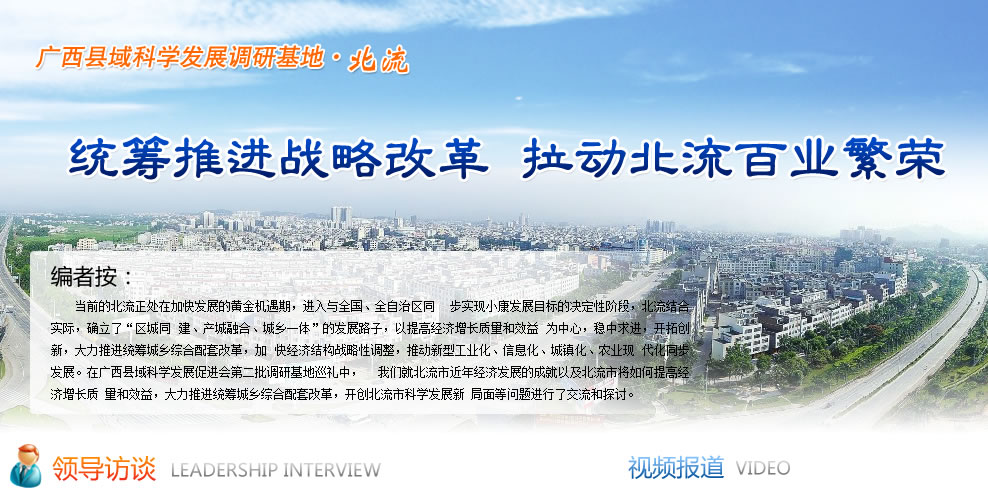 统筹推进战略改革 拉动北流百业繁荣