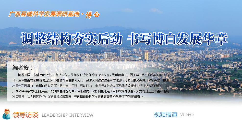 调整结构夯实后劲 书写博白发展华章