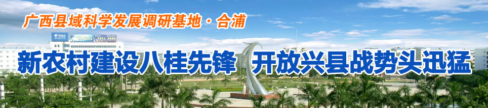 新农村建设八桂先锋  开放兴县战势头迅猛