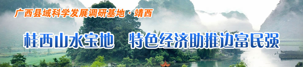 桂西山水宝地  特色经济助推边富民强