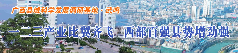 一二三产业比翼齐飞  西部百强县势增劲强