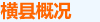 概况