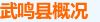 概况
