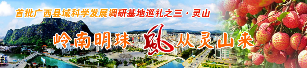首批广西县域科学发展调研基地巡礼之三·灵山