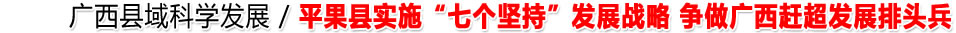平果县实施“七个坚持”发展战略 争做广西赶超发展排头兵