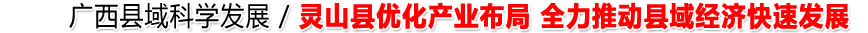 [灵山县]优化产业布局 全力推动县域经济快速发展