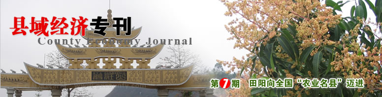 县域经济专刊